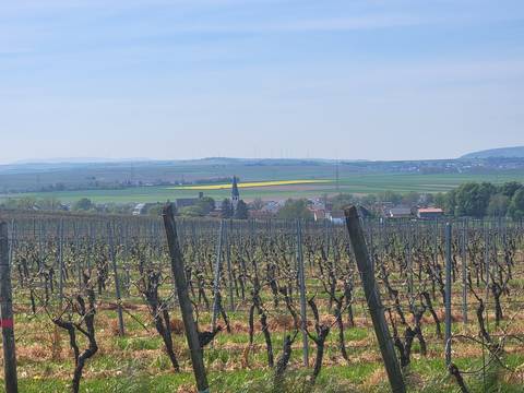 Vineyards with a village and wind turbines in the distance.