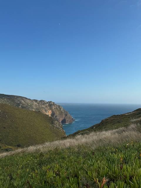 Cliffside view of the ocean with vegetation.