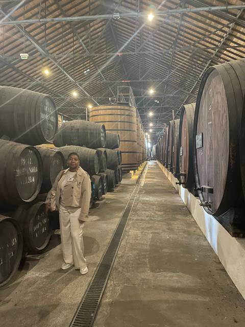 Person standing inside a wine cellar with wooden barrels.