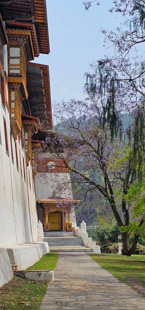 Mountain view with traditional buildings and blooming trees.