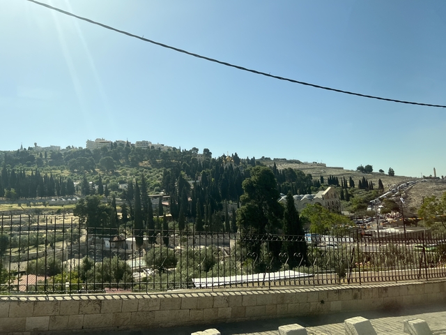       View of Jerusalem landscape with trees and buildings.
  