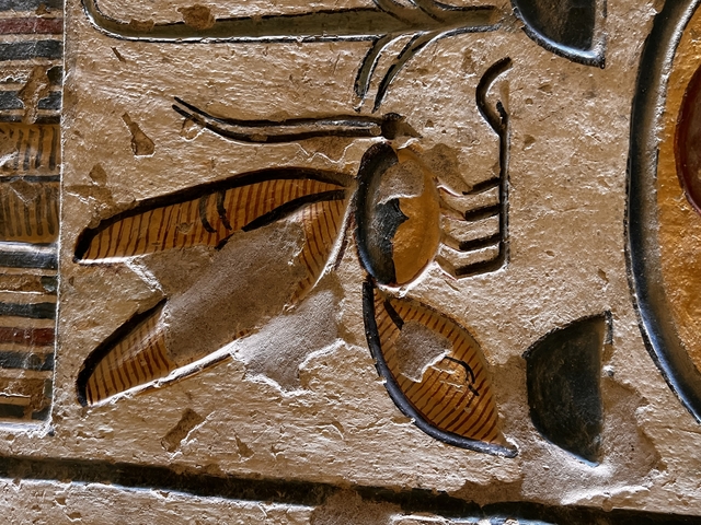       Close-up of an ancient insect carving on stone.
  
