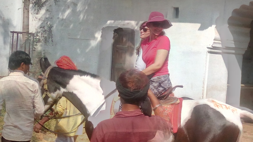       Multiple people and a horse in a rural setting.
  