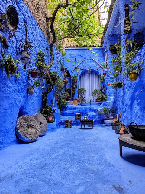       A picturesque blue alley with vibrant plants and decorations in Chefchaouen.
  