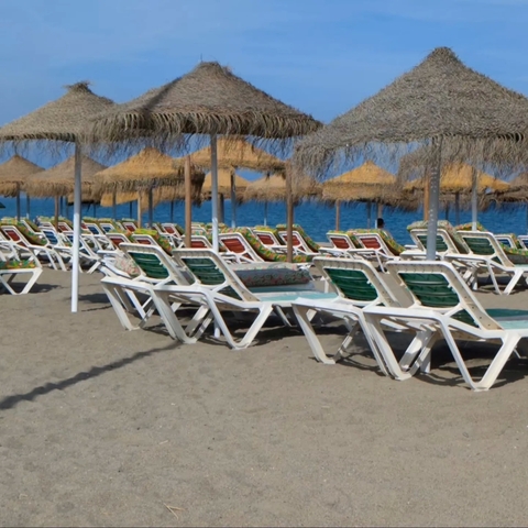       Empty beach with rows of sun loungers and parasols.
  