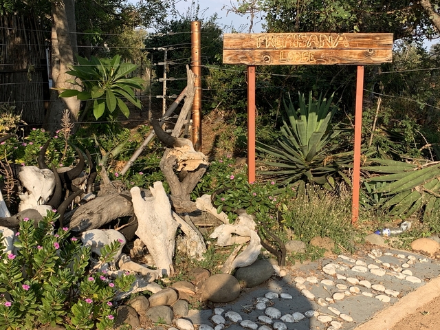Outdoor garden area with a sign and plant decorations.