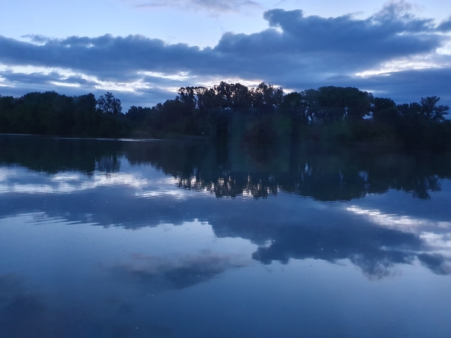 A calm river or lake reflecting trees during twilight.