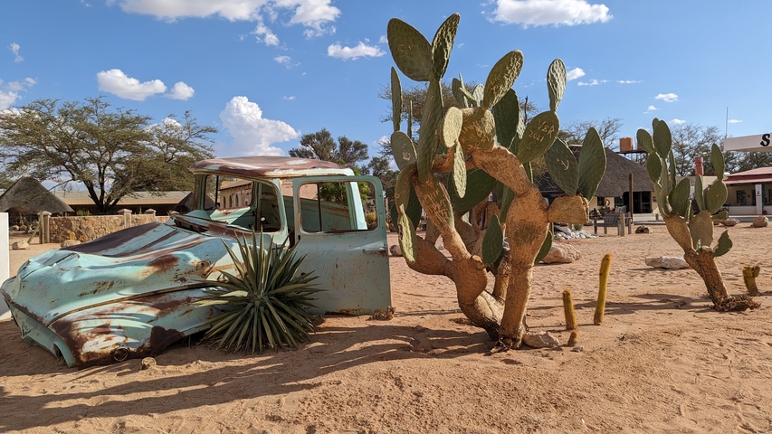 Rusty old truck in a desert setting with cacti.