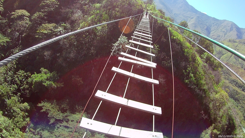 Suspension bridge over lush green valley.