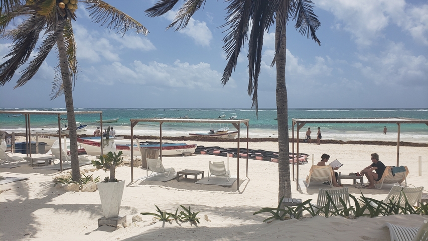 Beach scene with palm trees, lounge chairs, and ocean.