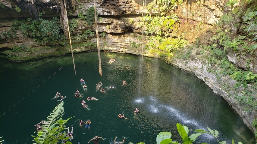 Cenote with people swimming and lush vegetation.
