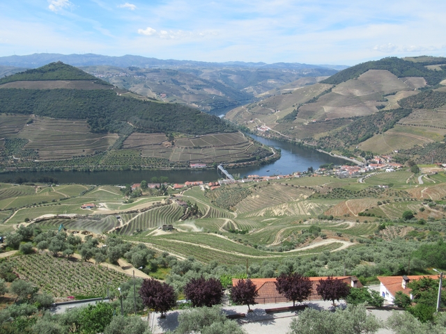 Scenic view of vineyards and a river winding through a valley.