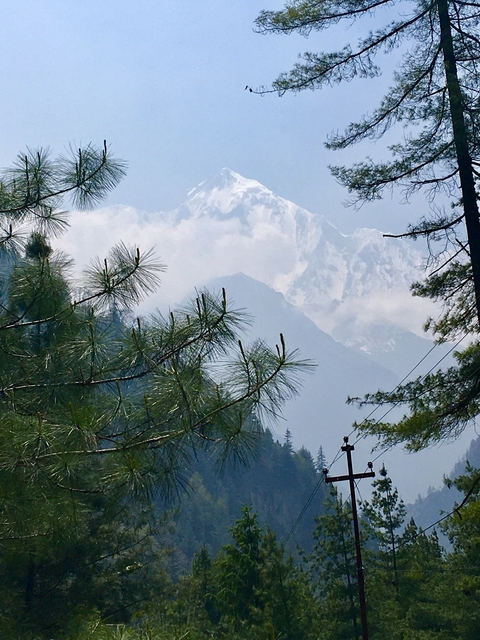 Snow-capped mountain with foreground of tree branches.