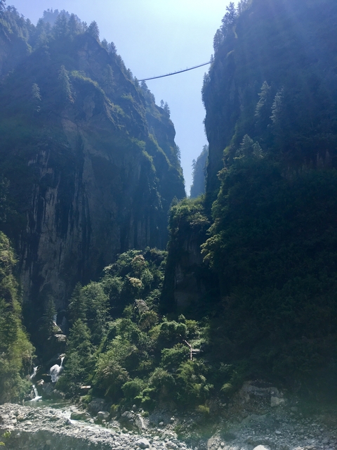 Tall rocky gorge with dense vegetation.