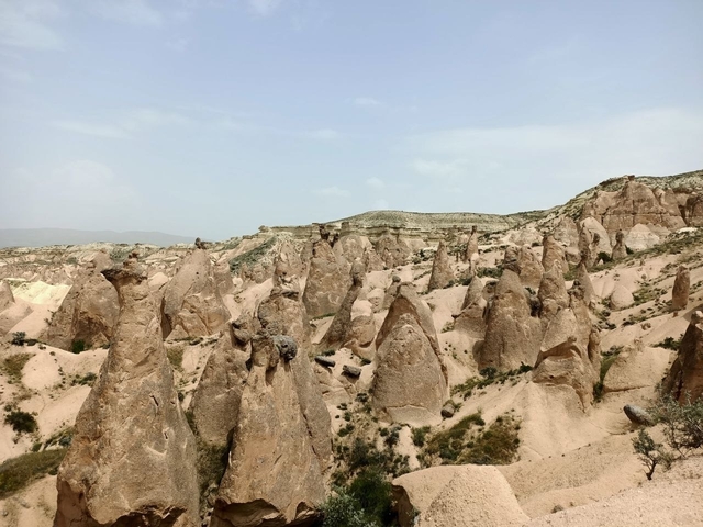 Desert landscape with unique rock formations.