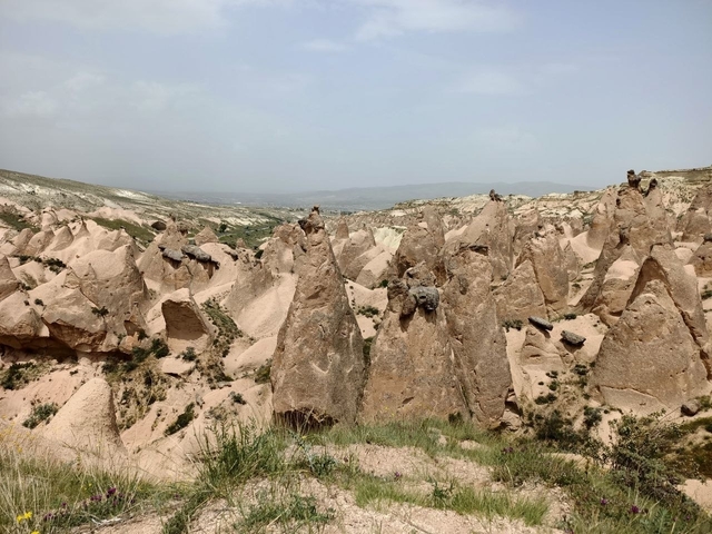       Rock formations in a dry landscape with minimal vegetation.
  