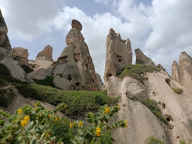       Cave-like rock formations with greenery.
  