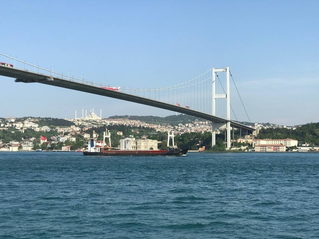       Suspension bridge over a waterway with a cityscape in the background.
  