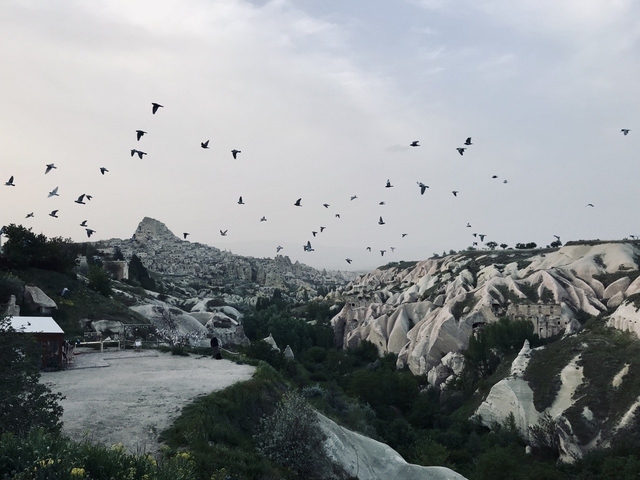       Rocky landscape with birds flying over.
  