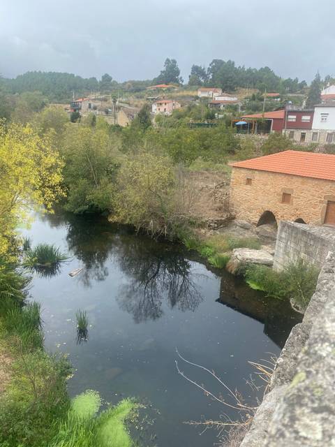       Stone bridge over a calm river with foliage.
  
