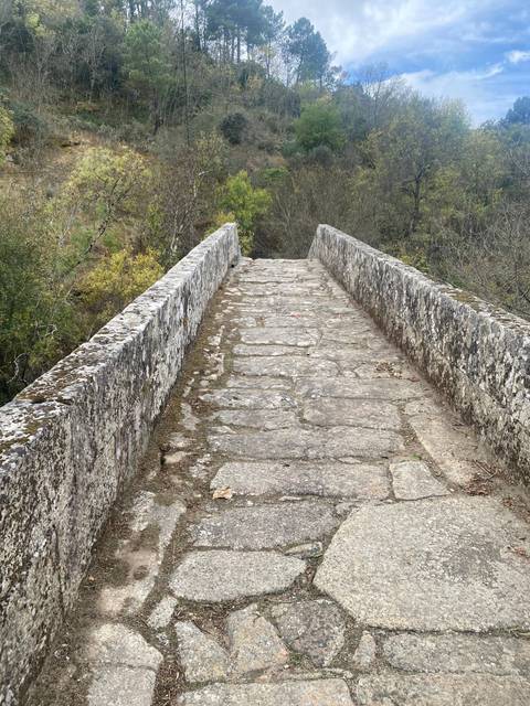       Stone pathway through a wooded area.
  