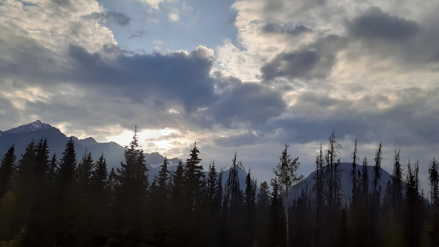       Forest landscape with mountains and dramatic clouds.
  