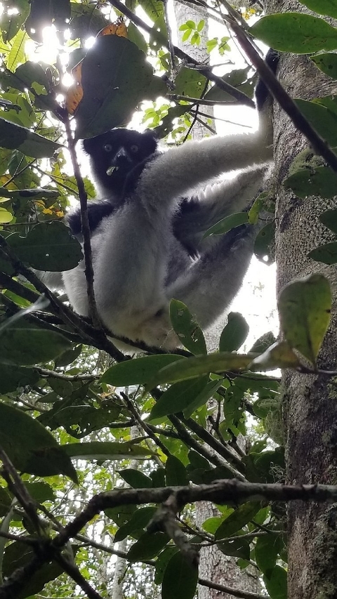       Photo d'avis client sur Rencontres Indri 
  