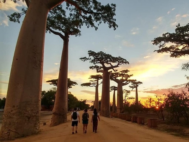 Klantbeoordelingsfoto van Ontmoetingen met de Indri 