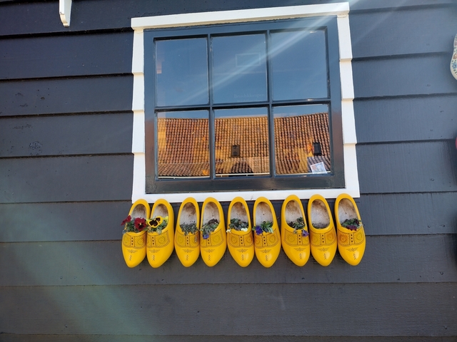 Yellow wooden clogs used as planters on a window sill.