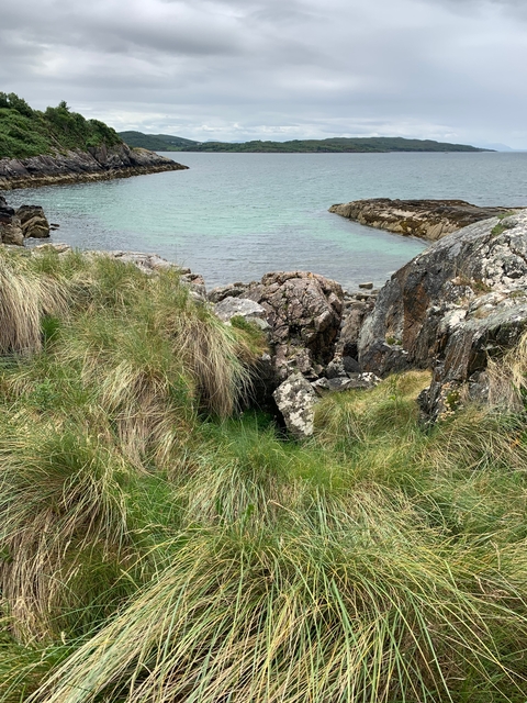 Rocky shoreline with green grass and clear water under a cloudy sky.