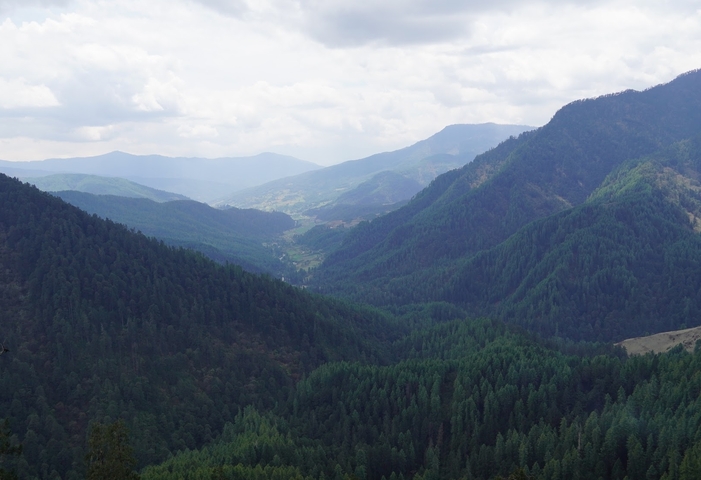       A panoramic view of lush green valleys and forested mountains.
  