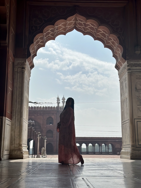       Silhouette of a woman looking towards historical architecture.
  