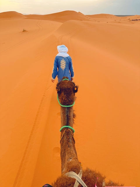Person leading a camel through the desert.