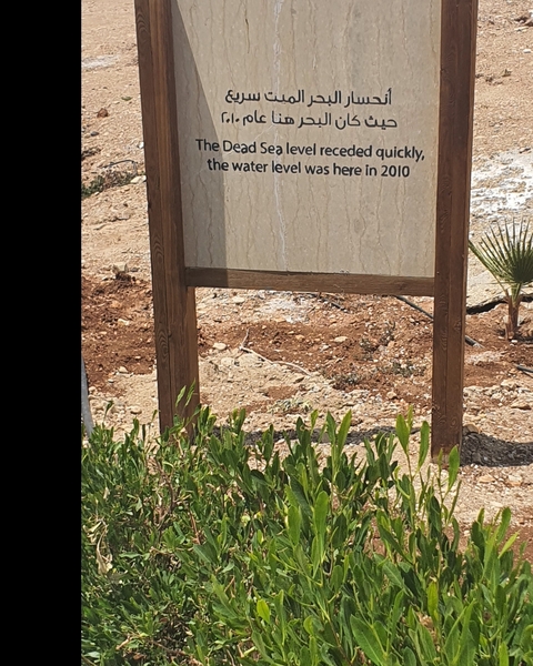 Outdoor view of a sign on a wooden post with plants and rocky ground nearby.