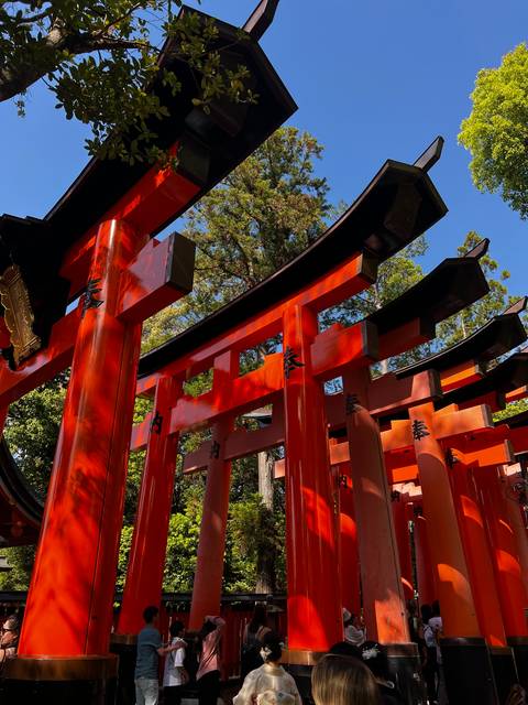       Numerous red torii gates at a famous Shinto shrine.
  