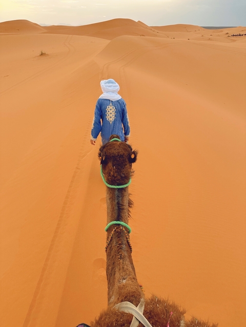 Person leading a camel on sand dunes.