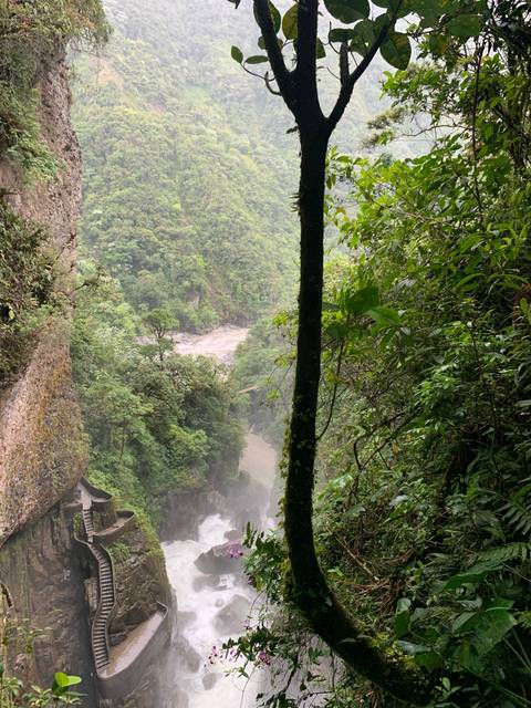 A scenic view of lush vegetation and a waterfall.