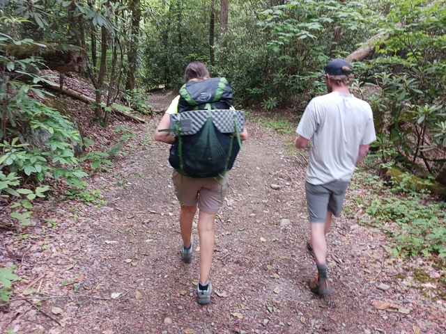 Two hikers walking through a forested trail.