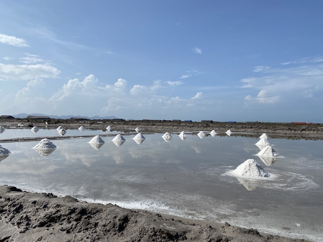 Salt mounds in a wetland field under a blue sky