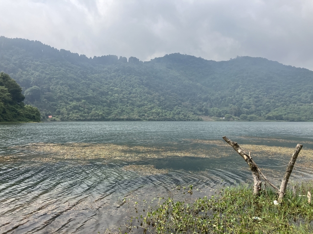 Peaceful lake surrounded by lush greenery.
