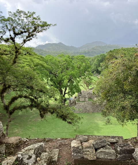 Ancient ruins amidst green trees with a mountain backdrop.