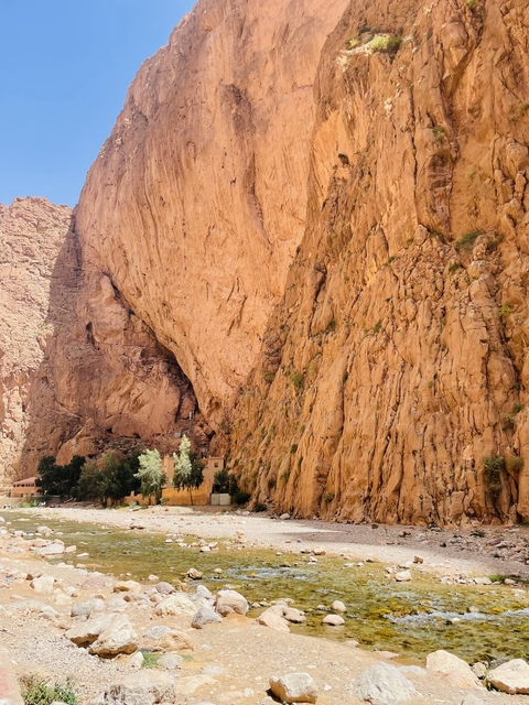 Rugged cliffs and vegetation in Todra Gorge.