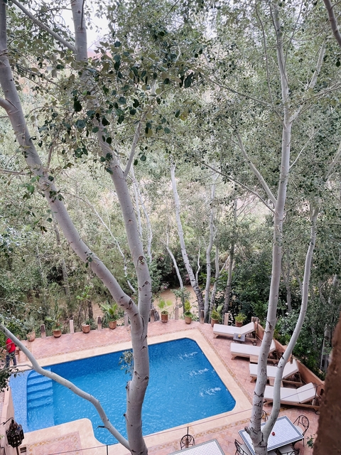       Lush trees and greenery in a botanical setting.
  