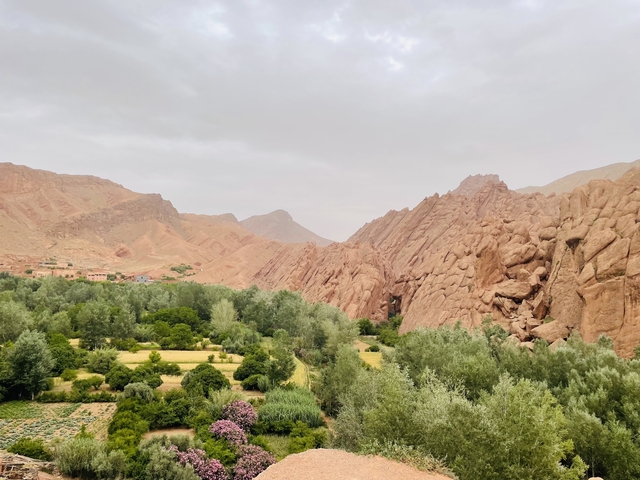       Scenic view of Todra Gorge with lush green vegetation and rugged cliffs.
  