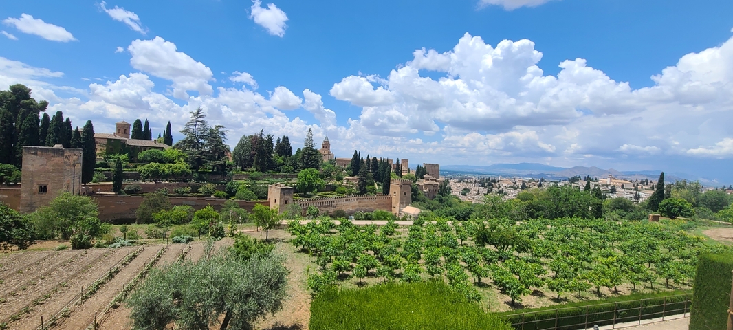       Landscape view of gardens with distant cityscape.
  