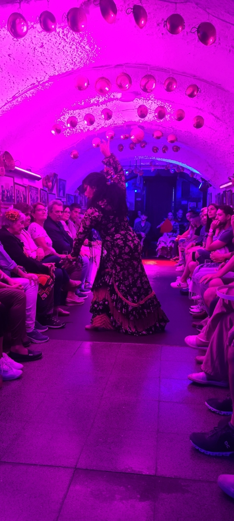       Flamenco performance with audience in a dimly lit venue.
  