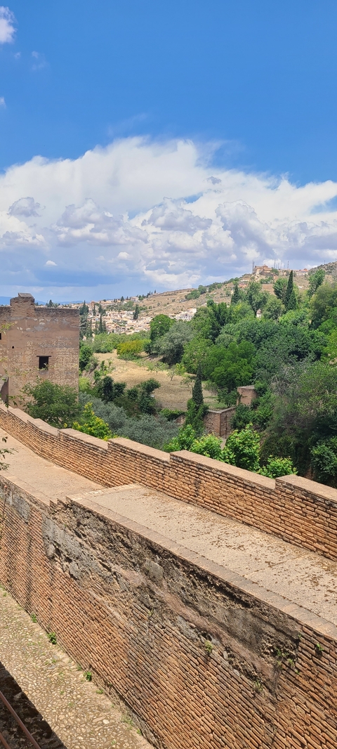       Scenic view overlooking a city with lush greenery.
  