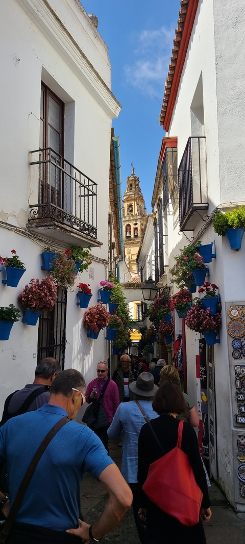       Picturesque alleyway with colorful flowers and historical tower.
  