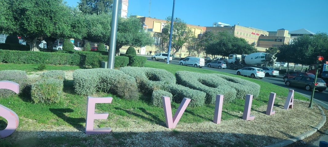       Topiary spelling 'SEVILLA' in a grass setting near a road.
  