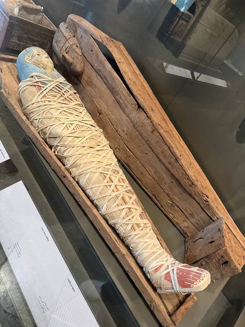 A mummified figure displayed in a museum.